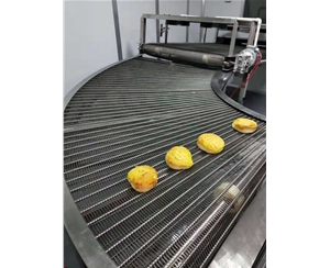广东食品网带转弯机