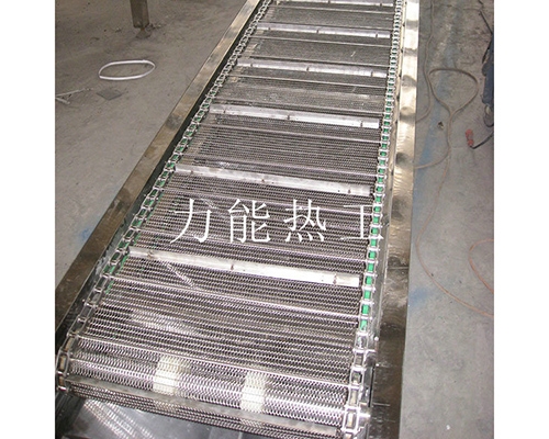 广东链网输送机