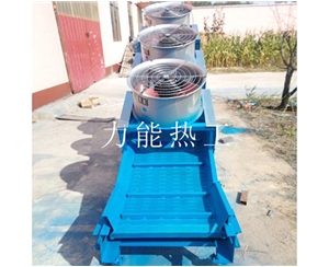 广东链板提升机