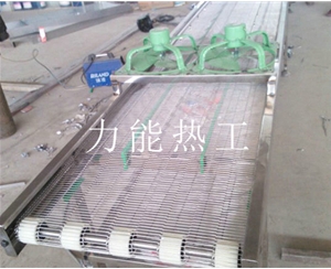 广东乙字网输送机