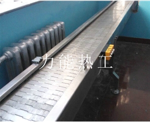 广东链板输送机