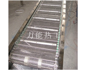 广东链网输送机