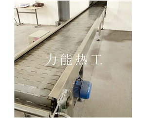 广东链板输送机